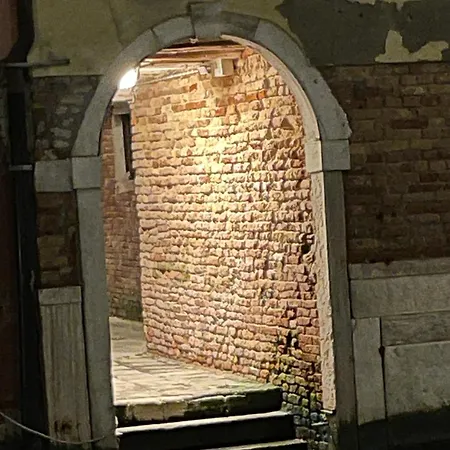 Exclusive Only For * Venezia