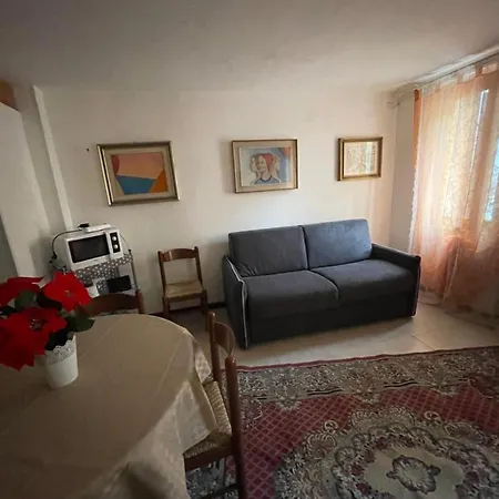 Exclusive Only For New Velence