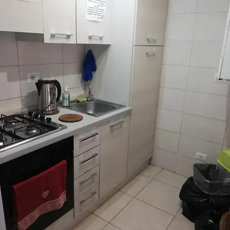 Exclusive Only For New Velence