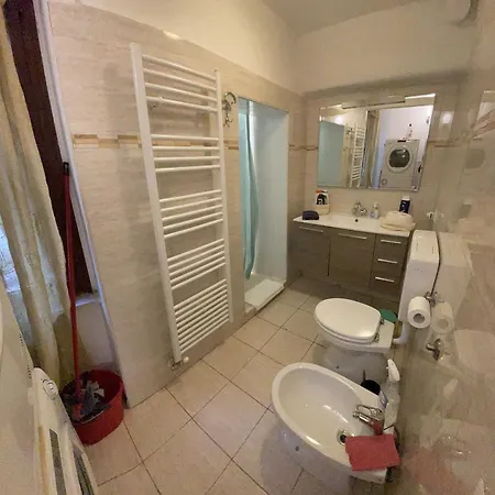 Exclusive Only For New Velence