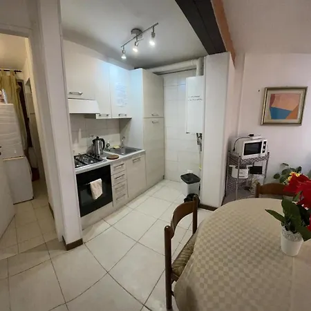 Exclusive Only For New Velence