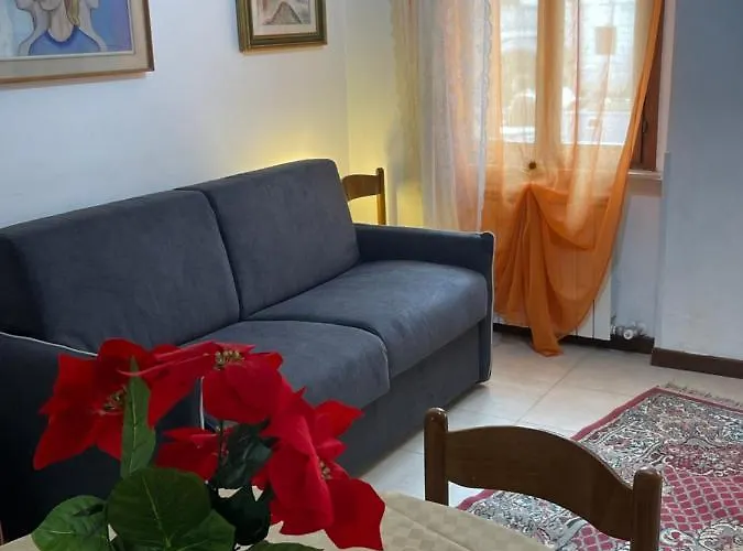 Exclusive Only For New *