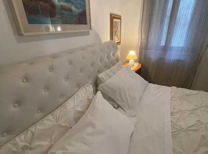 Exclusive Only For New