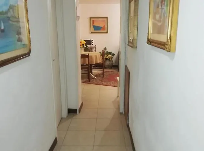 Exclusive Only For New