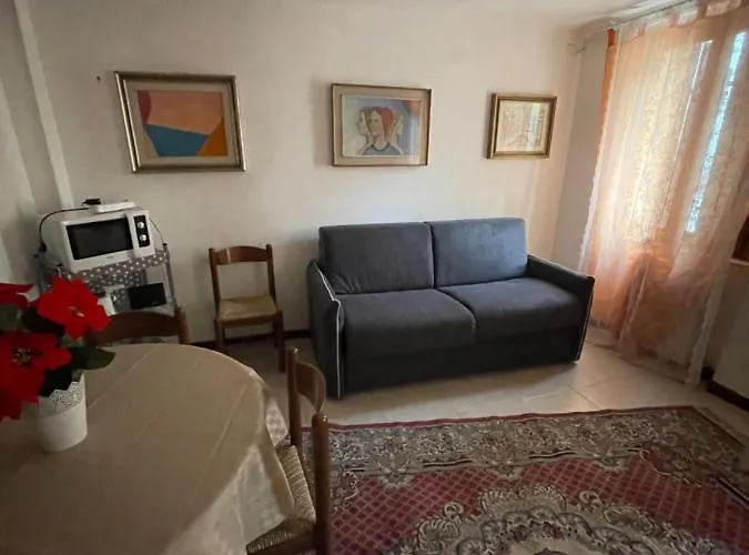 Exclusive Only For New Apartman *